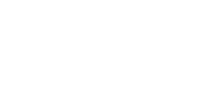 Starlinks Global Logo V1.4